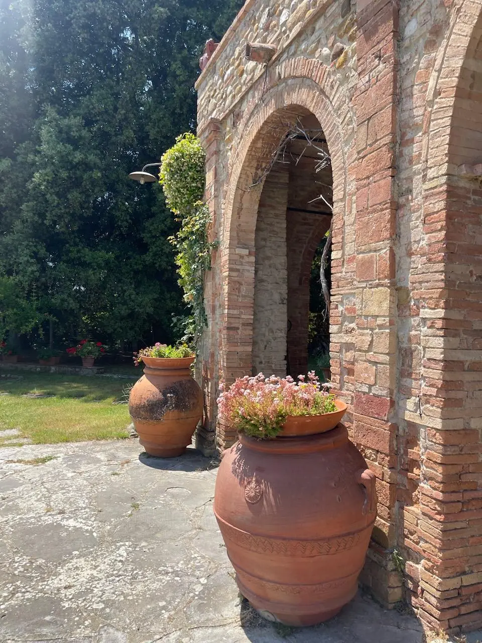 Pottery Collection
